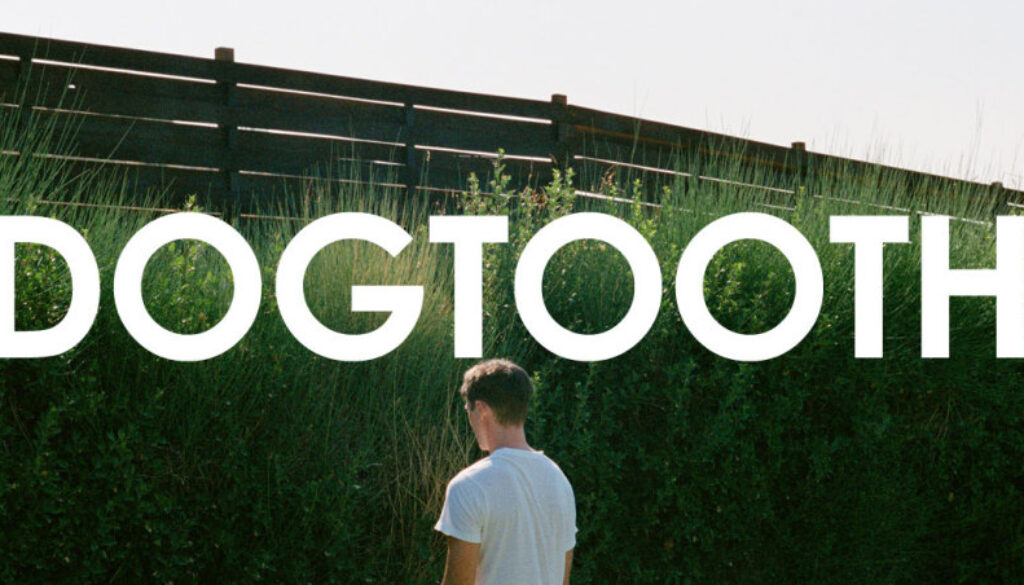 Dogtooth Dogtooth