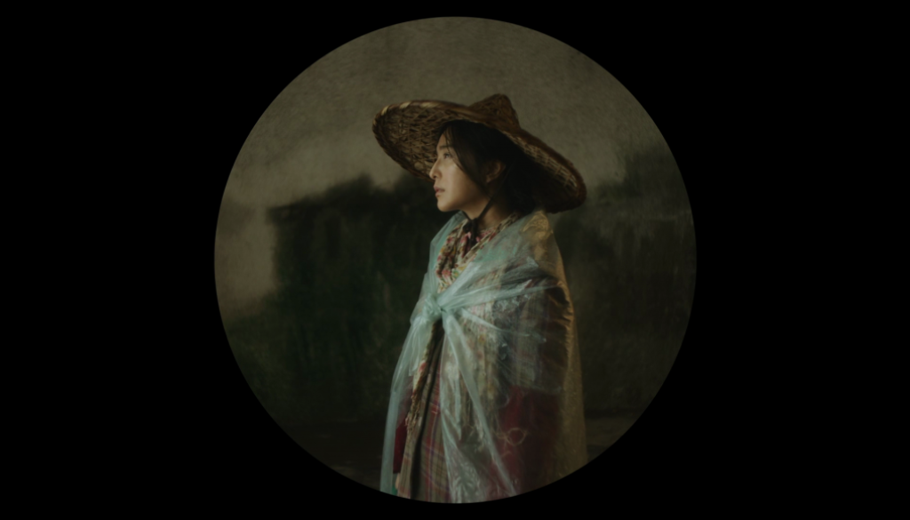 I Am Not Madame Bovary